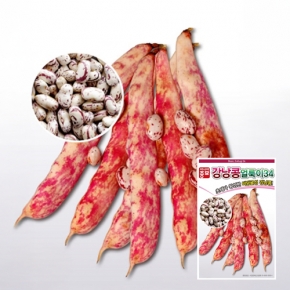 아시아종묘 콩씨앗종자 얼룩이34 강낭콩(30g,600g)