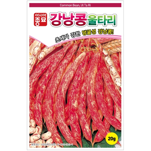 (아시아종묘/콩씨앗종자) 울타리 강낭콩20g / 20gx3 / 600g