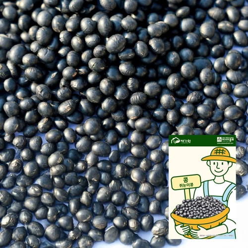 아시아종묘 콩씨앗종자 쥐눈이콩(50g,50gx3,1kg)