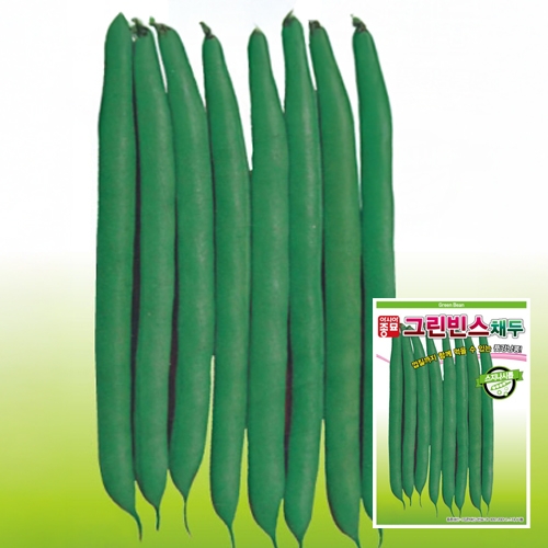 아시아종묘 콩씨앗종자 그린빈스 스지나시톱 채두(10g,10gx3,700g) 껍질채 먹는 풋강낭콩
