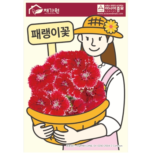 아시아종묘 꽃씨앗 패랭이꽃(1000립)