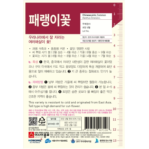 아시아종묘 꽃씨앗 패랭이꽃(1000립)