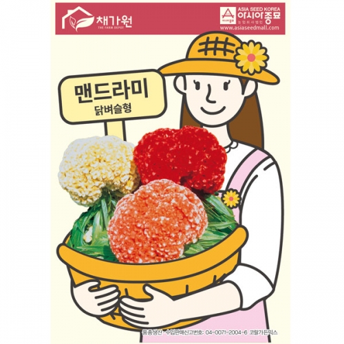 아시아종묘/꽃씨앗 맨드라미(닭벼슬형)(1000립,1000립*3,1kg)