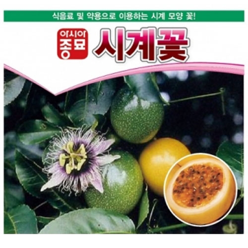 아시아종묘 패션푸르트 패션프루츠(passion fruit) 시계꽃(10립)