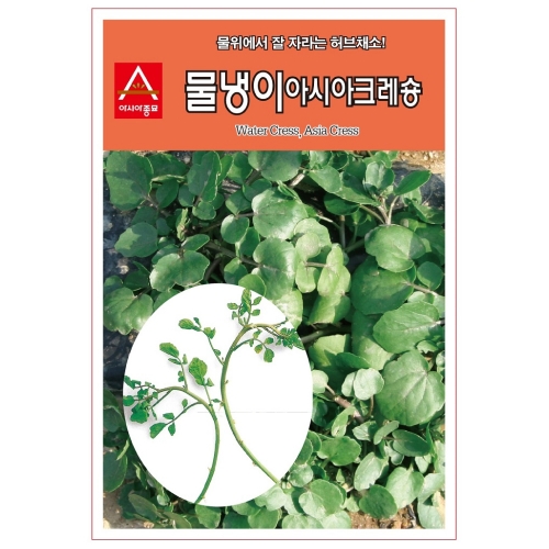 아시아종묘/허브씨앗종자 물냉이.아시아크레숑 (1g,1gx3,100g)