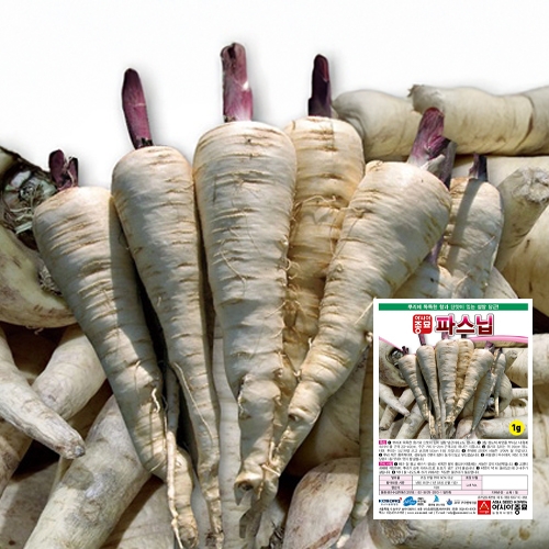 (아시아종묘/파스닙씨앗종자) 설탕당근-파스닙(1g)