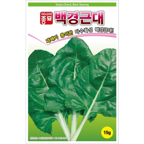 (아시아종묘/어린잎채소씨앗) 백경근대, (백근대) (15g)