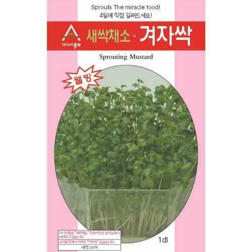 (아시아종묘/새싹씨앗) 겨자싹(30g,500g,1kg) 새싹채소