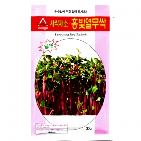 (아시아종묘/새싹씨앗) 홍빛열무싹(30g,1kg) 새싹채소