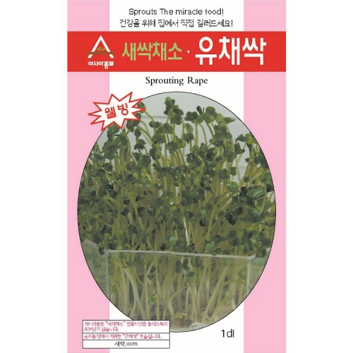 (아시아종묘/새싹씨앗) 유채싹(30g,1kg) 새싹채소