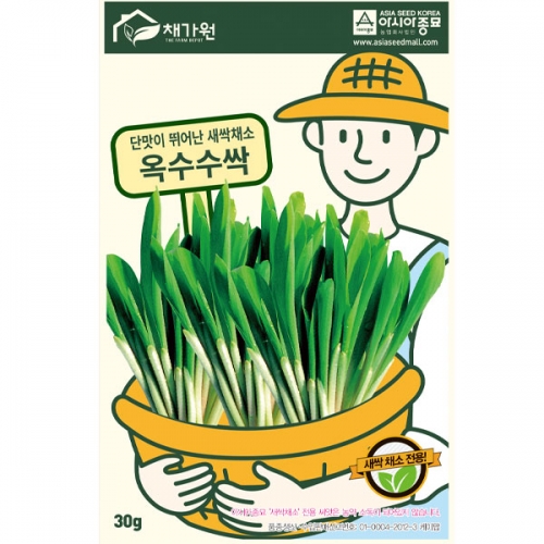 (아시아종묘/새싹씨앗) 옥수수싹(30g,1kg) 새싹채소