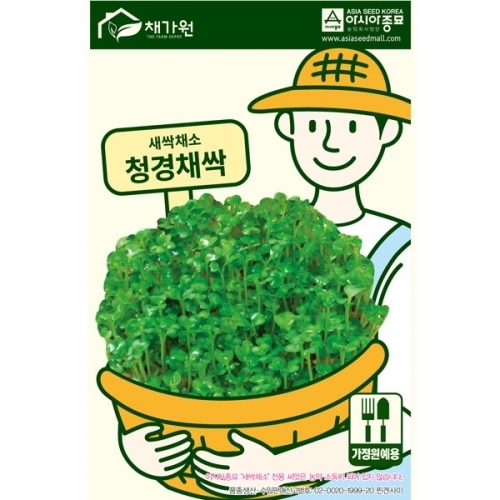 아시아종묘 새싹씨앗 청경채싹(30g,500g,1kg) 새싹채소