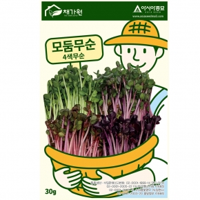 아시아종묘/새싹씨앗 모둠무순-4색무순(30g,30gx3,1kg) 새싹채소