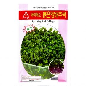 아시아종묘/새싹씨앗 적양배추싹(30g,30gx3,500g,1kg) 새싹채소