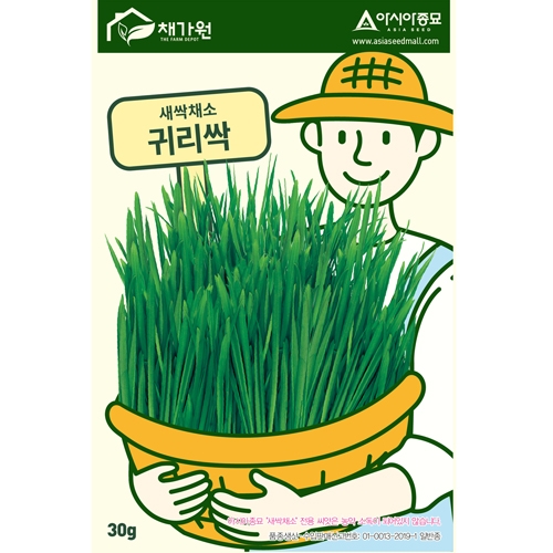 (아시아종묘/새싹씨앗) 새싹귀리씨앗(30g,1kg) 새싹채소