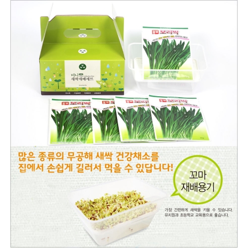 (아시아종묘/재배용기) 보리싹 꼬마재배용기세트(30g,1kg)-특가상품-