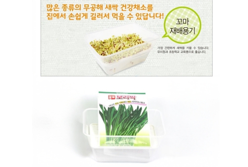 (아시아종묘/재배용기) 보리싹 꼬마재배용기세트(30g,1kg)-특가상품-