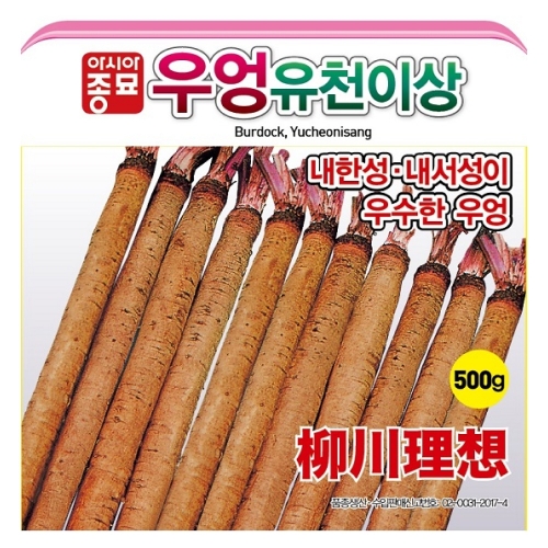 우엉씨앗종자 뿌리우엉 유천이상(500g)