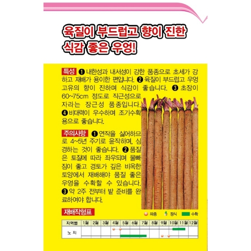 우엉씨앗종자 뿌리우엉 유천이상(500g)