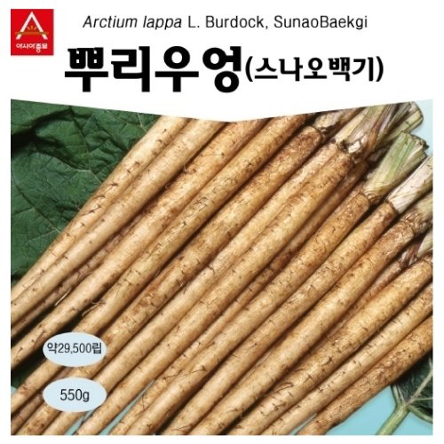 아시아종묘/뿌리우엉 스나오백기(550g)