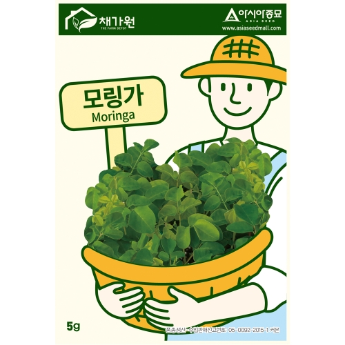 아시아종묘/모링가씨앗종자 모링가 (5g-약15립)