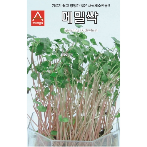 아시아종묘/새싹씨앗 메밀싹(30g) 새싹채소