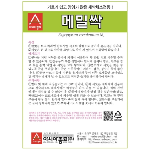 아시아종묘/새싹씨앗 메밀싹(30g) 새싹채소