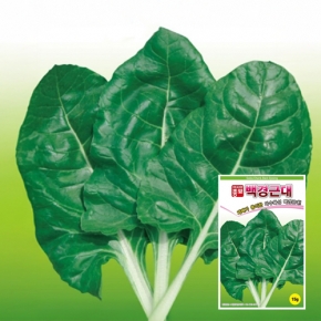 근대씨앗종자 백경근대 (백근대)(15g)