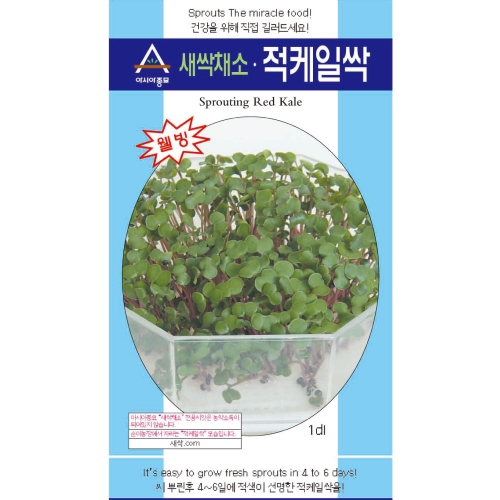 아시아종묘/새싹씨앗 적케일싹(30g) 새싹채소