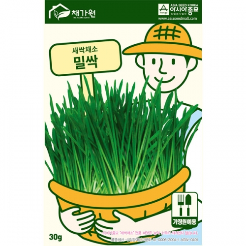 아시아종묘/새싹씨앗 밀싹(30g) 새싹채소