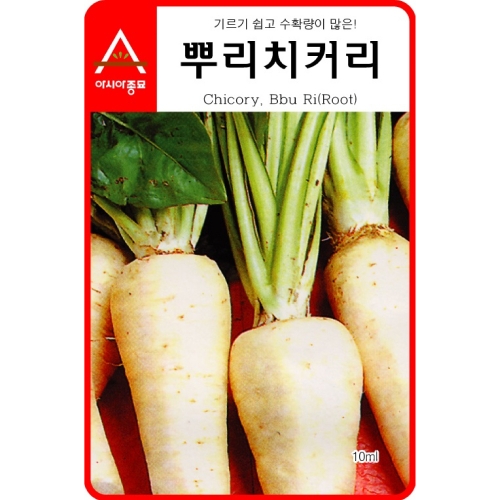 아시아종묘 치커리종자씨앗 뿌리치커리(3000립)