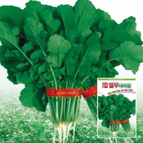 아시아종묘 열무씨앗종자 새바람열무(20g)