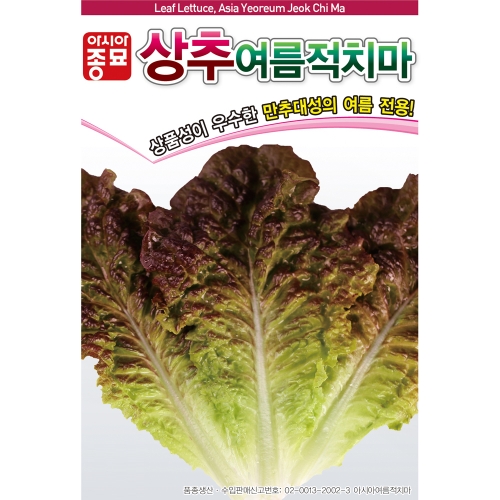 아시아종묘 상추종자씨앗 아시아 여름적치마(3000립)