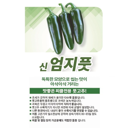 고추씨앗종자 신엄지풋고추(1000립)