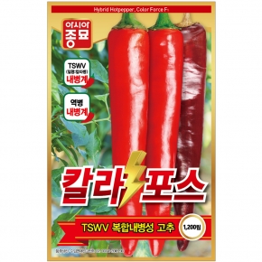 아시아종묘 고추씨앗 칼라포스1200립