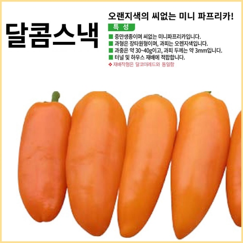 (아시아종묘/파프리카씨앗종자) 달콤스낵 파프리카(100립)