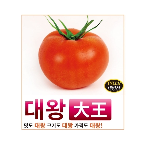 (토마토씨앗종자) 대왕(100립)