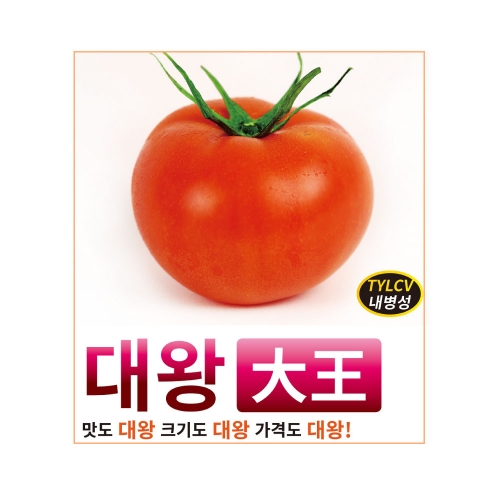 (토마토씨앗종자) 대왕(100립)