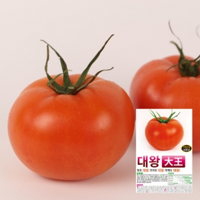 토마토씨앗종자 대왕(1000립)