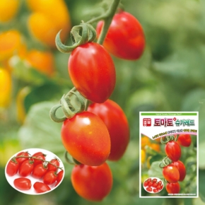 토마토씨앗종자 신슈가레드 토마토(20립)