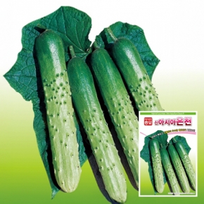 아시아종묘 오이씨앗종자 신아시아은천백다다기 오이(50립)