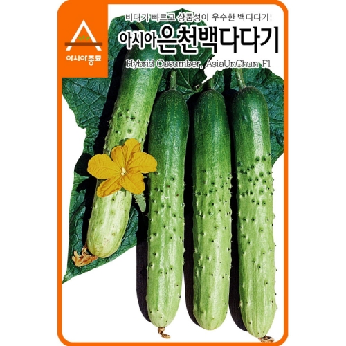 아시아종묘 오이씨앗종자 신아시아은천백다다기 오이(100g)