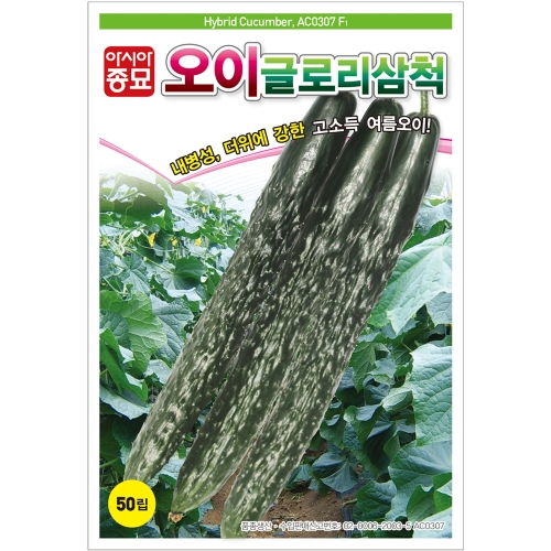 아시아종묘 오이씨앗종자 글로리삼척 오이(400립)