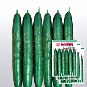 (아시아종묘/오이씨앗종자) 녹야청청오이(40립x3)