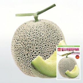 아시아종묘 멜론씨앗종자 얼스마운틴피엠알(1000립)