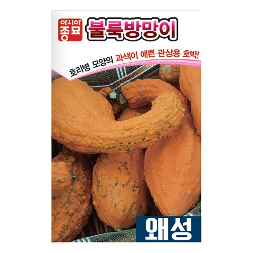 아시아종묘 관상용호박씨앗종자 불룩방망이 호박 (10립)