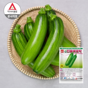 아시아종묘 호박 씨앗 종자 신진동애호박 50립