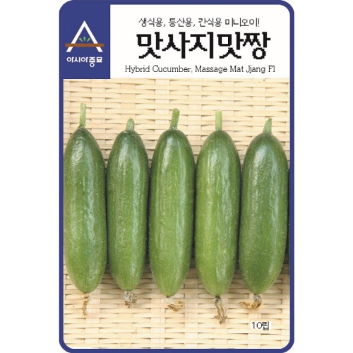 아시아종묘 오이씨앗종자 맛사지맛짱오이(500립)