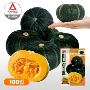 아시아종묘 미니단호박씨앗종자 미니강1호(100립)