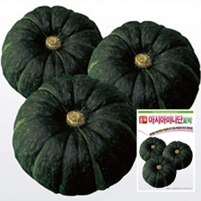 아시아종묘 단호박씨앗종자 아시아미니단호박(10립)